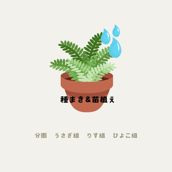 画像：種まき苗植え🌱